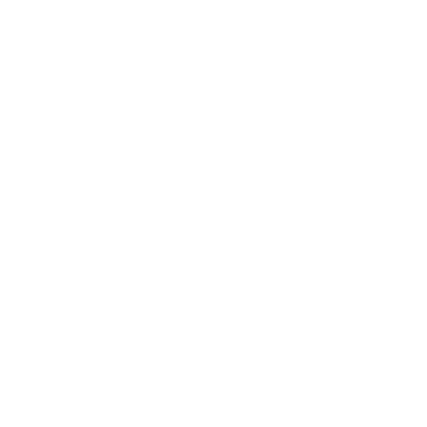 FluvoSoft - Venture catalysts studio logo