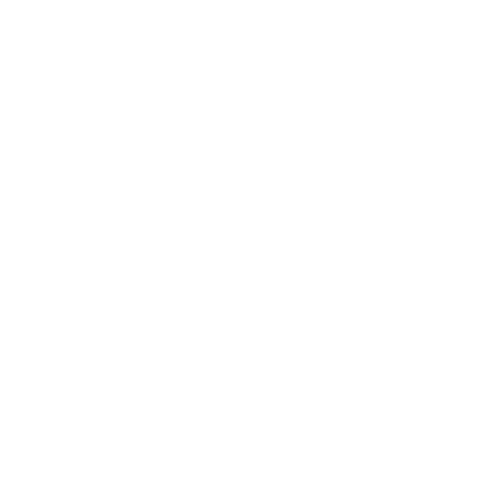 FluvoSoft logo